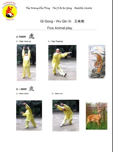 5 Animal-Exercises Sheet 1