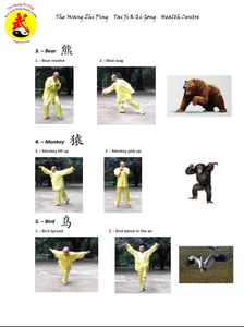 5 Animal-Exercises Sheet 2